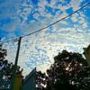 fakesmile_372