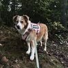 rockyroad_theaussieboy