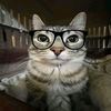 anthony_xx6