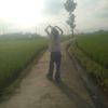 salsa_muf