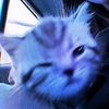 billop_6767