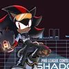 shadow_t.h