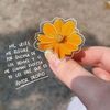 msguemon9427