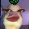 deviiii_yaa