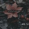 user8693163412797