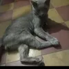 thianzxx7