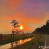 safwan.kotta
