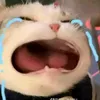 xi.trum.nek