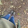 lets.walk.ireland