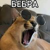 bebra89976