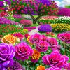 farzana.akter711