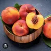peach26868
