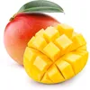 shirshik6