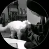 afpi_0