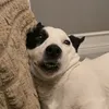 pelmehozukx