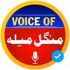 Voice of Mangal Mela