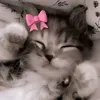 itstrixie49