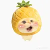 babysharkziz6