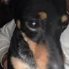 cxnhk