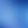 user7981613911232