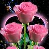 khin.htay.lwin54