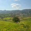 raz.habarvaz