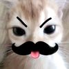 vanesyaagemassp