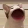 siuuuuuu4658