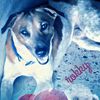 rokky240379