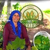 Ayşegül’ün Organik lezzetleri