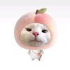 _yapingggg29