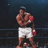 boxing.style14