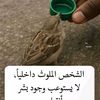 user501678047943