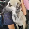 gabrielamuruchi4