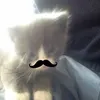 ericadouradsz