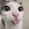 poopoopeepee29
