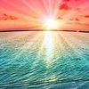 sunnytime1234