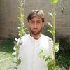 hajji.shafiullah