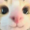 heemang_0