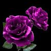 user8103213448586