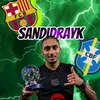 sandidrayk
