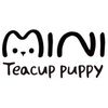 Mini teacup puppy