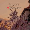 user8628042939911