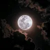 arina_27241627__27
