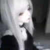 anixkqrl2wz