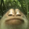 mewwwwwwwwwwwww0