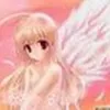butterfly15676