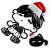 angel.stars_