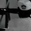 zellpg4