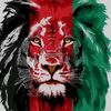 افغان 001